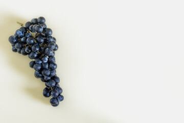 bunch of black grapes on yellow background