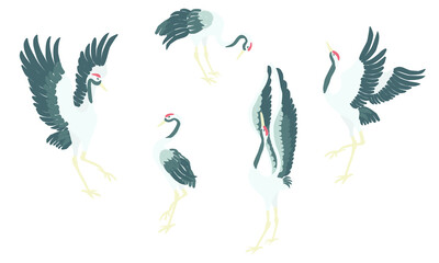 This collection was inspired by Japanese traditional art. 