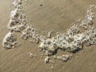 Sparkling Sea Foam Necklace in the Sand