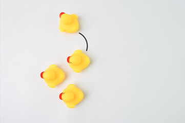 Toy duck heading with different direction. Business innovation and unique idea concept.