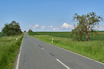 Geradlinige wellige Landstrasse mit beidseitigem Baumbestand durchquert Ackerlandschaft