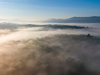 Obraz na płótnie Canvas Morning mist in Ukrainian Carpathian mountains. Aerial drone view.