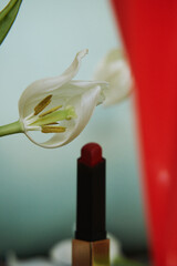 flower nature white plant red lip 
lipstick woman