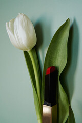 flower nature white plant red lip 
lipstick woman