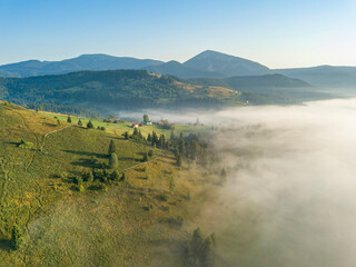 Morning fog in the Ukrainian Carpathians. Aerial drone view.