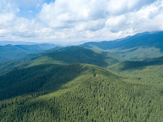 Obraz premium Green mountains of Ukrainian Carpathians in summer. Sunny day, rare clouds. Aerial drone view.