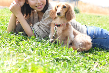 平塚市で訪問ペット火葬をお探しなら「そらみどり」へ～大切な家族との最期を心を込めて見送るために～