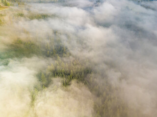 Morning mist in Ukrainian Carpathian mountains. Aerial drone view.