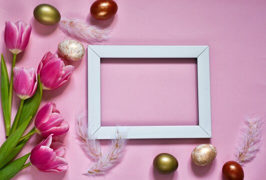 Easter composition with blank photo frame, feathers eggs and pink  tulips on pink background. Easter greeting card. Banner