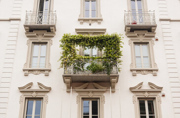 Fototapeta na wymiar Balcony with weaving plants on a white facade in Milan, Italy