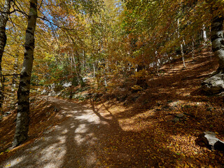 Views on the hiking trail in Ordesa National Park, Spain.
