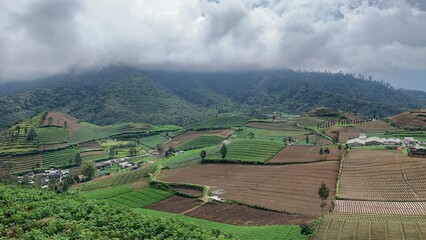 Landscape of field terraces in rural countryside 