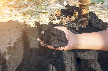 Farmers hold black husks to make compost to nourish plants in non-toxic agricultural gardens.