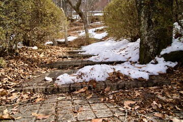 Fallen leaves and snow scattered on the tile steps.
