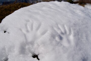 Marks on both hands on the snow.