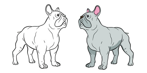  In the animal world. Vector image, dog. Black and white drawing, coloring book.