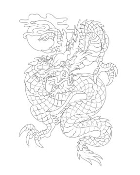 Oriental painting dragon illustration tattoo transfer line back square looking down