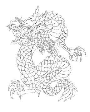 Oriental painting dragon illustration tattoo transfer line back square basic