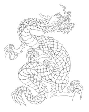 Oriental painting dragon illustration tattoo transfer line back square white background