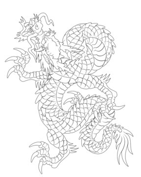 Oriental painting dragon illustration tattoo transfer line body twist wave