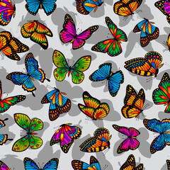 Butterflies seamless pattern. Vector stock illustration eps10. 