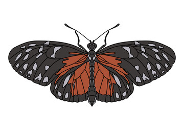 A beautiful butterfly is flying over the flowers. Insect.