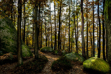 Obraz premium Mystic Landscape Of Nature Park Blockheide With Granite Rock Formations In Waldviertel In Austria