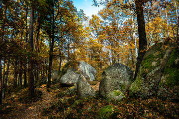 Mystic Landscape Of Nature Park Blockheide With Granite Rock Formations In Waldviertel In Austria
