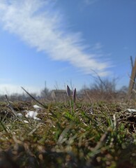 Obraz premium Весна