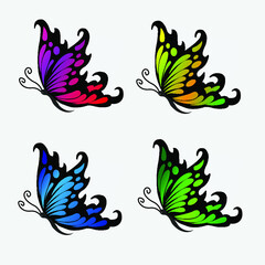 Collection of elegant colored butterflies