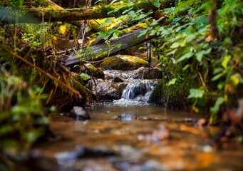 waterfall in the forest3