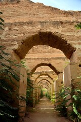 
MOROCCO-MEKNES  
One of the 4 old imperial cities of Morocco