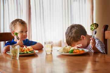 Thats it, were going on a hunger strike. Shot of two unhappy little boys refusing to eat their...
