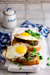 bruschetta with wild Mushroom .style vintage