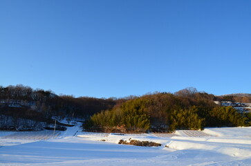 日本の冬の田舎風景