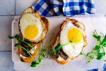 bruschetta with wild Mushroom .style vintage