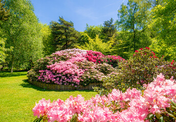 Beautiful blloming flower garden in spring season in London