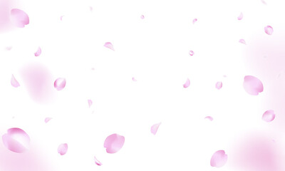 Fototapeta na wymiar 桜が舞う背景（白バック1）