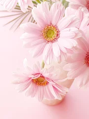 Foto op Plexiglas Pink gerbera daisy flower © Anneleven