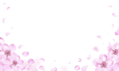 桜が舞う背景（白バック3）