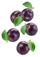 Plum with leaf isolated on white background