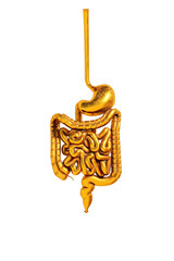 Three-dimensional isolated gold stomach model of human intestines on a white background, 3D rendering