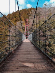 山奥の吊り橋