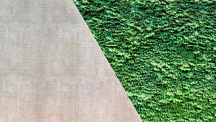 Gray concrete wall with diagonal green foliage, 3D rendering