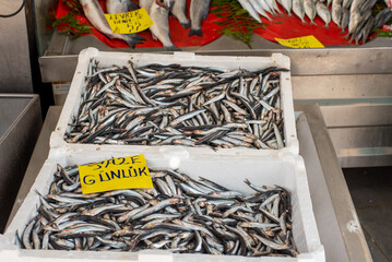 Editorial use only: editorial. Istanbul-Turkey-19.03.2022: fish sales points in istanbul