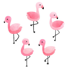 Fototapeta premium Tropical flamingo, pink flamingo vector illustration