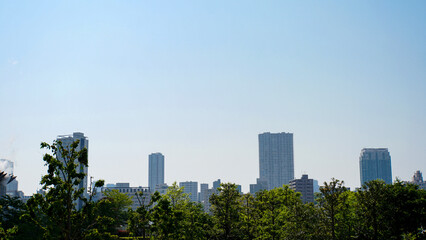 Fototapeta na wymiar 木々の奥に広がる大都会、東京の高層ビル