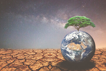 Earth in arid areas. concept of environmental change and global warming