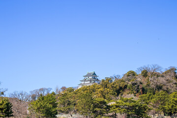 日本の城郭の遠景
