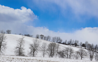 Snow covered rolling hills in the country on a sunny winter day